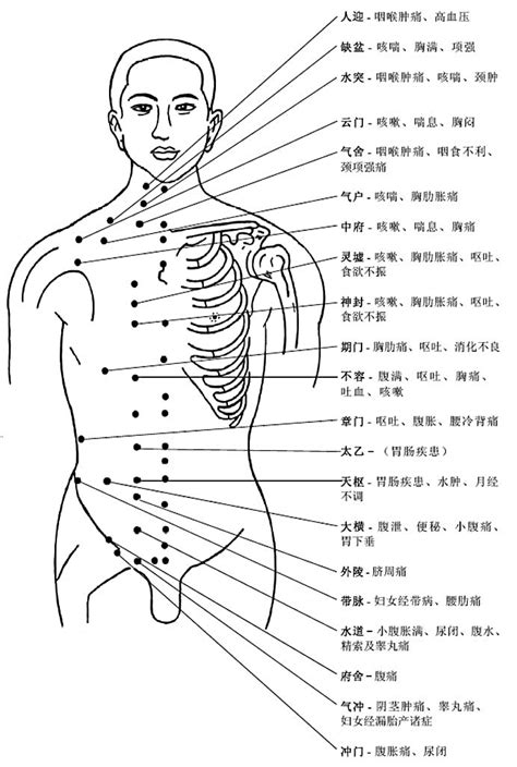 陽泉穴|陽陵泉:史載要穴,穴位取法,局部解剖,主治範圍,臨床套用,刺灸法,按。